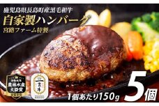 鹿児島県産合挽き肉使用 自家製ハンバーグ計5個(1個150g)【宮路ファーム】f-miyaji-1209-5