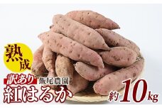 《 訳あり 》飯尾農園 紅はるか  約10kg 芋 いも さつまいも サツマイモ 鹿児島県産 国産 長島町産 べにはるか 熟成【飯尾農園】miio-6125