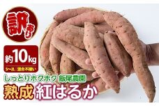 《訳あり》飯尾農園 紅はるか  約10kg 芋 いも さつまいも サツマイモ 鹿児島県産 国産 長島町産 べにはるか 熟成【飯尾農園】miio-6125