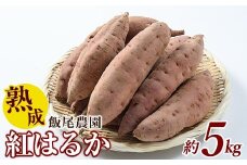 飯尾農園 熟成 紅はるか 約5kg 芋 いも さつまいも サツマイモ 鹿児島県産 国産 長島町産 べにはるか 熟成【飯尾農園】miio-874