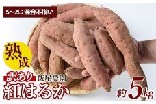 《訳あり》飯尾農園 熟成 紅はるか 約5kg 芋 いも さつまいも サツマイモ 鹿児島県産 国産 長島町産 べにはるか 熟成【飯尾農園】miio-874