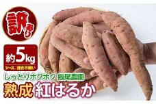 《訳あり》飯尾農園 熟成 紅はるか 約5kg 芋 いも さつまいも サツマイモ 鹿児島県産 国産 長島町産 べにはるか 熟成【飯尾農園】miio-874