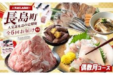 《偶数月発送全6回》全事業者 長島町スペシャル定期便 nagashima-1537