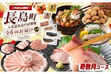 《奇数月発送全6回》全事業者 長島町スペシャル定期便 nagashima-1538