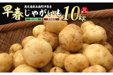 【先行予約】＜数量・期間限定＞ホックホク甘さがある伊唐産早春じゃがいも(約10kg)【旬感foods】horino-868