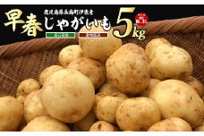 【先行予約】＜数量・期間限定＞ホックホク甘さがある伊唐産早春じゃがいも(約5kg)【旬感foods】horino-867