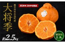 長島町産 大将季（ハウス） 贈答用 (約2.5kg) 2月中旬発送 【長島柑橘直販合同会社】kanchoku-1544C