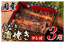 A01 国産！うなぎ蒲焼き(3尾・タレ付き) 国産 九州産 鹿児島県 宮崎県 鰻 ウナギ unagi うな重 うな丼 ひつまぶし うなじゅう 蒲焼 かばやき 無頭 魚 魚介類 土用 丑の日 タレ タレ付 おかず 惣菜 冷蔵 特産品 お土産 ギフト プレゼント ご贈答 真空パック 湯煎 レンジ 簡単調理 内容量選べる 尾数選べる えらべる 【尾方屋】