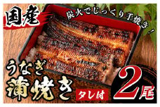 y135 国産！うなぎ蒲焼き(2尾・タレ付き) 国産 九州産 鹿児島県 宮崎県 鰻 ウナギ unagi うな重 うな丼 ひつまぶし うなじゅう 蒲焼 かばやき 無頭 魚 魚介類 土用 丑の日 タレ タレ付 おかず 惣菜 冷蔵 特産品 お土産 ギフト プレゼント ご贈答 真空パック 湯煎 レンジ 簡単調理 内容量選べる 尾数選べる えらべる 【尾方屋】