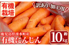 y161 ≪訳あり・数量限定≫湧水町産有機にんじん(約10kg) 国産 九州産 鹿児島産 有機野菜 有機栽培 にんじん 人参 ニンジン キャロットジュース 野菜 やさい おかず 旬 わけあり 訳アリ 不揃い 規格外 期間限定 数量限定 オーガニック 健康【そのやま農園】