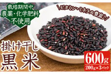 y172 《栽培期間中農薬化学肥料不使用》掛け干し黒米(計600g・200g×3パック) 国産 九州産 鹿児島産 湧水町産 黒米 お米 米 おこめ 600g 化学肥料不使用 農薬不使用 有機 有機農業 有機肥料【雲月農園】