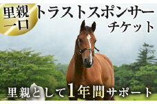 y241 馬主のいない馬を助けたい！トラストスポンサーチケット(1枚) 里親として1年間サポートするシステムです 馬 競走馬 競馬 乗馬 乗用馬 里親 ペット サポート【NPO法人ホーストラスト】