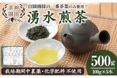 y312 《数量限定》鹿児島県湧水町産！栽培期間中農薬・化学肥料不使用！湧水煎茶(100g×5本) 国産 九州産 鹿児島県産 茶葉 お茶 茶 日本茶 緑茶 煎茶 一番茶 湧水茶 浅蒸し茶 ギフト 贈答 プレゼント 贈り物 令和7年産 【神田茶園】