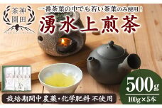 y313 《数量限定》鹿児島県湧水町産！栽培期間中農薬・化学肥料不使用！湧水上煎茶 計500g(100g×5本)  国産 九州産 鹿児島県産 茶葉 お茶 茶 日本茶 緑茶 上煎茶 一番茶 湧水茶 浅蒸し茶 ギフト 贈答 プレゼント 贈り物 令和7年産 【神田茶園】