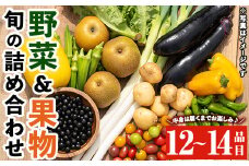 y358 野菜と果物旬の詰め合わせ(12～14品目) 国産 九州産 鹿児島県産 野菜 やさい果物 くだもの フルーツ デザート 詰め合わせ お楽しみ セット 旬【鹿児島県経済農業協同組合連合会】