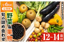 y359 《定期便・全6回》野菜と果物旬の詰め合わせ(12～14品目) 国産 九州産 鹿児島県産 野菜 やさい 果物 くだもの フルーツ デザート 詰め合わせ お楽しみ セット 旬 【鹿児島県経済農業協同組合連合会】