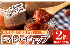 y380 《数量限定》トマトケチャップ2個(280g×2個)完熟有機トマトを使用した手作りトマトケチャップはそのままソースとしても使える優しいお味の調味料【雲月農園】