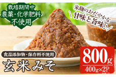 y455 《数量限定》玄米味噌(計800g・400g×2パック) 味噌 玄米味噌 大豆 麹 こうじ みそ汁 味噌汁 野菜炒め 田楽 化学肥料不使用 農薬不使用 有機 有機農業 有機肥料【雲月農園】