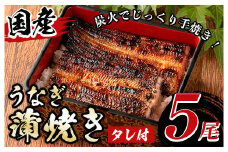 y488 国産！うなぎ蒲焼き(5尾・タレ付き) 国産 九州産 鹿児島県 宮崎県 鰻 ウナギ unagi うな重 うな丼 ひつまぶし うなじゅう 蒲焼 かばやき 無頭 魚 魚介類 土用 丑の日 タレ タレ付 おかず 惣菜 冷蔵 特産品 お土産 ギフト プレゼント ご贈答 真空パック 湯煎 レンジ 簡単調理 内容量選べる 尾数選べる えらべる 【尾方屋】