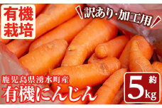 y503 ≪訳あり・数量限定≫湧水町産有機にんじん(約5kg) 国産 九州産 鹿児島産 有機野菜 有機栽培 にんじん 人参 ニンジン キャロットジュース 野菜 やさい おかず 旬 わけあり 訳アリ 不揃い 規格外 期間限定 数量限定 オーガニック 健康【そのやま農園】