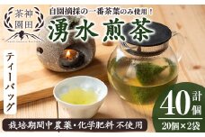 y519 鹿児島県湧水町産！栽培期間中農薬・化学肥料不使用！湧水煎茶ティーバッグ 計40個(20個×2袋) 国産 九州産 鹿児島県産 茶葉 お茶 茶 日本茶 緑茶 煎茶 ティーバッグ ギフト 贈答 プレゼント 贈り物 【神田茶園】