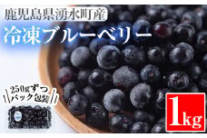 y228 《数量限定》湧水の冷凍ブルーベリー(1kg) 冷凍 国産 九州産 鹿児島県産 くだもの 果物 フルーツ シャーベット ジャム フローズン ベリー おやつ デザート【神田茶園】