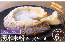 y397-02 《数量限定・選べる3種》神田茶園の湧水米粉チーズケーキ(ブルーベリー・6号)【神田茶園】