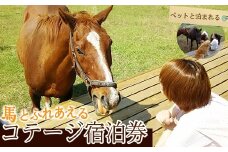 y074 馬とふれあう&ペットと宿泊できる！ コテージPOSY　1泊2日宿泊券（1名様分）体験チケット 体験 レジャー アクティビティ ペット ふれあい 馬 宿泊 宿【霧島アート牧場】