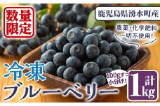 y527 《数量限定》冷凍ブルーベリー(計1kg・100g×10パック) 冷凍 国産 九州産 鹿児島県産 くだもの 果物 フルーツ シャーベット ジャム フローズン ベリー おやつ デザート 【体験型観光農園さつまドリームファーム】