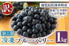y528 《訳あり・加工用》冷凍ブルーベリー(1kg) 冷凍 国産 九州産 鹿児島県産 くだもの 果物 フルーツ シャーベット ジャム フローズン ベリー おやつ デザート 【体験型観光農園さつまドリームファーム】