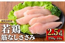 y533 鹿児島県産若鶏筋なしささみ(計2.5kg・250g×10袋) 国産 九州産 鹿児島県産 鶏肉 鳥肉 鶏 とり 若鶏 冷凍 ささみ ササミ 筋なし 小分け 真空 【TRINITY】