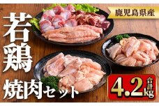 y548 鹿児島県産若鶏焼肉セット(6種・合計4.2kg) 国産 鶏肉 鳥肉 肉 若鶏 お肉 もも肉 モモ肉 砂肝 肝 手羽中 肩肉 チキン チキンリブ セット 詰め合わせ 焼き肉 焼肉 やきにく 小分け 冷凍 真空パック 食べ比べ 【TRINITY】