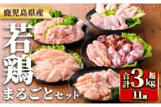 y539 鹿児島県産若鶏まるごとセット(合計3.05kg) 国産 鶏肉 鳥肉 肉 若鶏 お肉 もも肉 モモ肉 むね肉 ムネ肉 胸肉 ささみ ササミ 筋なし 砂肝 肝 手羽先 キチンリブ 手羽元 肩肉 小肉 骨付きモモ セット 詰め合わせ 小分け 冷凍 真空パック 食べ比べ 【TRINITY】