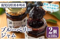 y529 ブルーベリージャム(計2個・140g×2) 果物 くだもの フルーツ ジャム ベリー 自家製 パン ヨーグルト 朝食 食品 加工品 常温【体験型観光農園さつまドリームファーム】