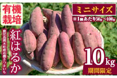 y329-B ≪ミニサイズ(1個あたり50g~100g)≫湧水町産有機さつまいも「紅はるか」(計10kg) 国産 九州産 鹿児島産 有機栽培 サツマイモ 生芋 芋 焼き芋 やきいも べにはるか ミニ ミニサイズ 天ぷら おかず 野菜 おやつ スイーツ 旬 常温 常温保存 【そのやま農園】