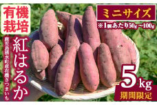 y329-D ≪ミニサイズ(1個あたり50g~100g)≫湧水町産有機さつまいも「紅はるか」(計5kg) 国産 九州産 鹿児島産 有機栽培 サツマイモ 生芋 芋 焼き芋 やきいも べにはるか ミニ ミニサイズ 天ぷら おかず 野菜 おやつ スイーツ 旬 常温 常温保存【そのやま農園】