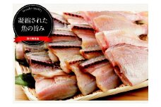 産地直送極上干物（塩つけ）