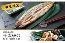 鹿児島県大隅産 千歳鰻の★特大★白焼鰻　2尾【数量限定】