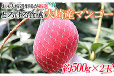 【JA大崎選果場厳選】「大崎産マンゴー2025」 おおよそ500g×2玉