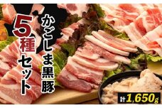 かごしま黒豚セット