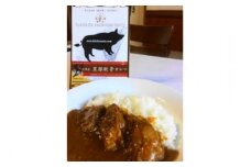 黒豚軟骨カレー３個パック