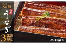 横山桂一さんのS級鰻　大３尾（計450g）