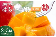 【数量限定/先行予約】マンゴー「はちいり（鉢入り）娘」（ご家庭用1kg箱入り）