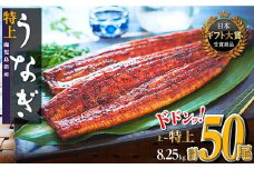 どーんとお届け！特大50尾　鹿児島県産長蒲焼