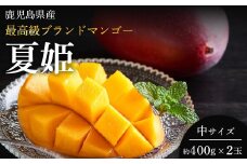 【数量限定】『産地指定』かごしまブランド最高級マンゴー「夏姫（なつひめ）2025　中」