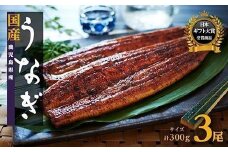 数量限定 鹿児島県産うなぎ長蒲焼3尾 約100g × 3尾 鰻 国産うなぎ蒲焼き たれ うな重 ひつまぶし ウナギ 蒲焼 人気 おすすめ ふるさと納税 鹿児島県 大崎町 A911