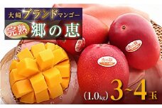 ご家庭用3-4玉 1.0kg 大崎 完熟マンゴー 郷の恵（さとのめぐみ）マンゴー 果物 くだもの フルーツ 果実 人気 送料無料 ふるさと納税 鹿児島 大崎町