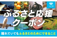 【大崎町】ふるさと応援クーポン