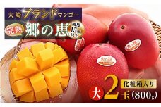 大崎完熟マンゴー「郷の恵（さとのめぐみ）」（大）