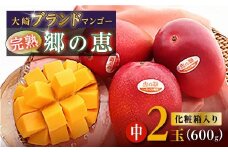 大崎完熟マンゴー「郷の恵（さとのめぐみ）」中2玉